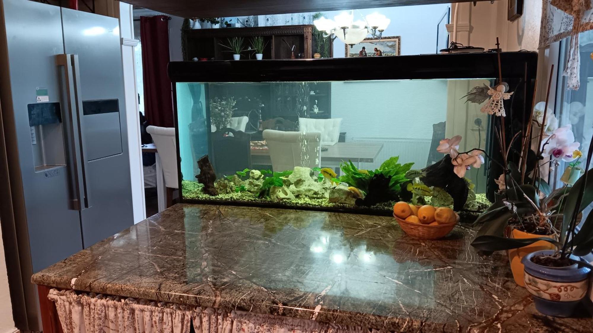 Hisa Piber Villa Bled Ngoại thất bức ảnh